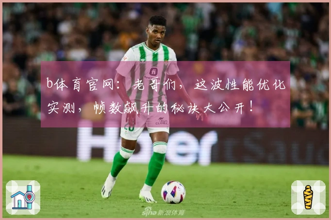 b体育官网：老哥们，这波性能优化实测，帧数飙升的秘诀大公开！